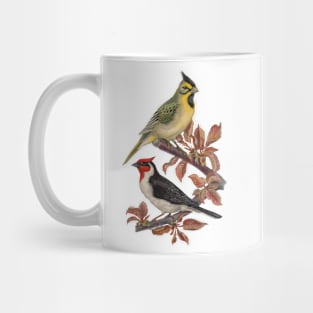 Vintage Birds Mug